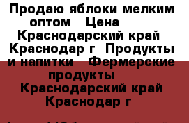 Продаю яблоки мелким оптом › Цена ­ 35 - Краснодарский край, Краснодар г. Продукты и напитки » Фермерские продукты   . Краснодарский край,Краснодар г.